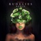Flowers (RudeLies Remix) artwork