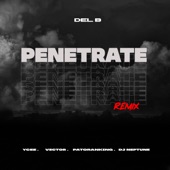 Penetrate (Remix) artwork