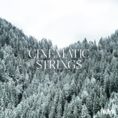 Cinematic Strings artwork