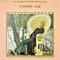 And That's Saying a Lot - Christine McVie lyrics