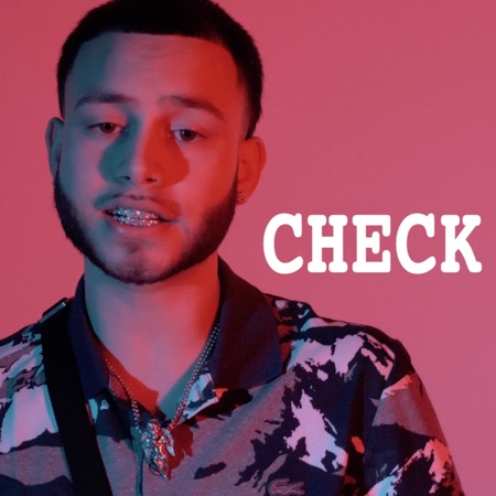 Check (feat. Babyboy & Campaign Self)