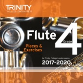 Flute Sonata in E-Flat Major, H. 454: II. Siciliano (Performance) artwork