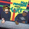 Mad Professor Meets Gaudi album lyrics, reviews, download
