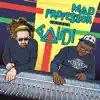 Stream & download Mad Professor Meets Gaudi