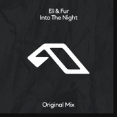 Into the Night (Extended Mix) artwork