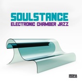 Electronic Chamber Jazz artwork