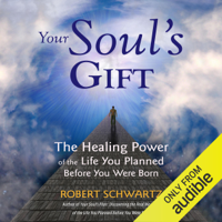 Robert Schwartz - Your Soul's Gift: The Healing Power of the Life You Planned Before You Were Born (Unabridged) artwork