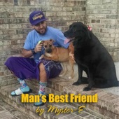 Man's Best Friend artwork