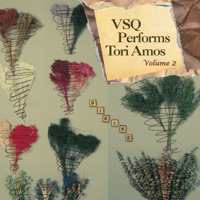 Vitamin String Quartet - VSQ Performs Tori Amos, Vol. 2: Pieces artwork