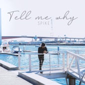 Tell Me Why artwork