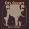 J.S.E. - City Coyote lyrics