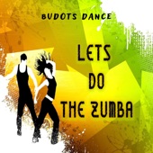 Lets Do The Zumba artwork