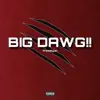 Stream & download BIG DAWG!! (Freestyle) - Single