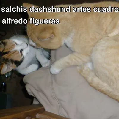 Salchis Dachshund Artes Cuadro - Alfredo Figueras