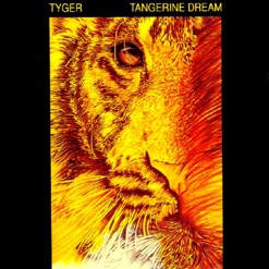 TYGER cover art