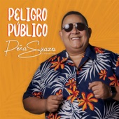 Peligro Público artwork