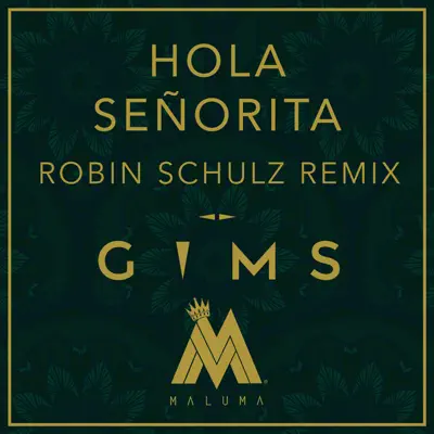 Hola Señorita (Robin Schulz Remix) - Single - Robin Schulz
