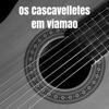 Em Viamao (Live)