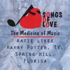 Katie Likes Harry Potter, TV, Spring Hill, Florida song lyrics