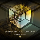 Summer Festival Collection artwork