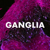 Ganglia artwork