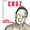 Grandes Éxitos De Celia Cruz