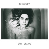 Dry – Demos artwork