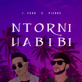 Ntorni Habibi (feat. Pierre) - J. Esho