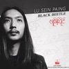 Black Beetle