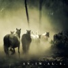 Animals - Single