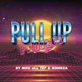Pull Up Project artwork