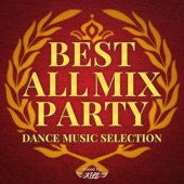 BEST ALL MIX PARTY -DANCE MUSIC SELECTION- mixed by DJ AILE artwork