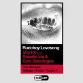Rudeboy Lovesong (feat. Sweetie Irie and Cara Delevingne) [Remixes] artwork