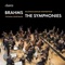 Symphony No. 3 in F Major, Op. 90: I. Allegro con brio - Un poco sostenuto - Tempo I artwork