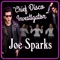 Chief Disco Investigator - Joe Sparks lyrics