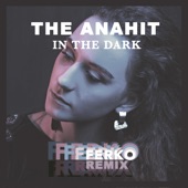 In the Dark (Ferko Remix) artwork