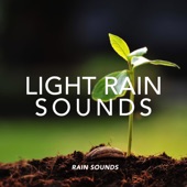 Light Rain Sounds artwork