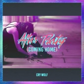 After Party (Coming Home) artwork