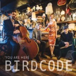 Birdcode - Birdhouse (feat. Tom Cleary & Amber Delaurentis)