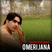 O Meri Jana artwork