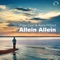 Allein allein (Jay Frog Remix) - DJ Mister Cee & Anna Hilbert lyrics