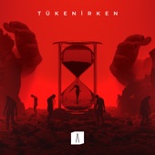 Tükenirken artwork