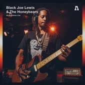 Black Joe Lewis & The Honeybears - No Rhyme or Reason