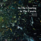 In the Clearing, In the Cavern (feat. Jonas Sjøvaag, Andreas Ulvo & Sigurd Hole) artwork