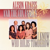 Alison Krauss - Never Will Give Up