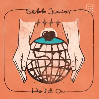 baixar álbum Sebb Junior - Hold On