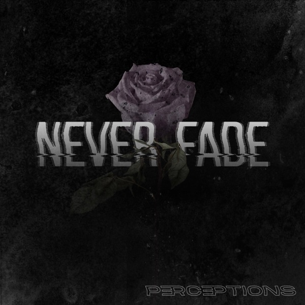 Perceptions - Never Fade [single] (2019)