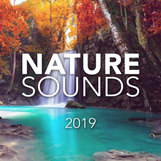 Nature Sounds 2019