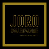 Joro artwork