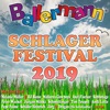 Ballermann Schlager Festival 2019, 2019